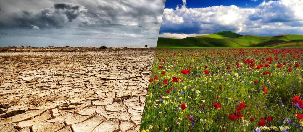 newdeal-0096-tienes-mentalidad-de-escasez-o-de-abundancia-1024x448